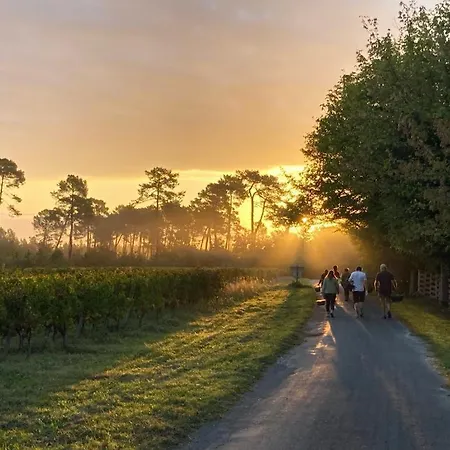 Chateau Batseres Сasa de vacaciones Landiras