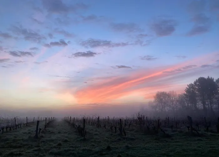 Chateau Batseres 別荘